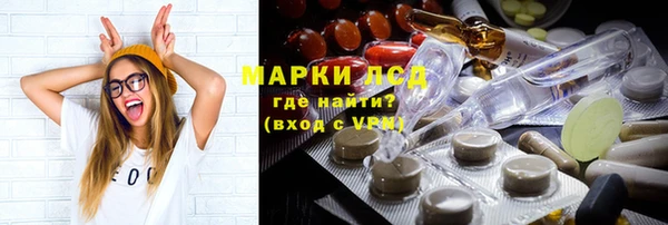 шишки Горно-Алтайск