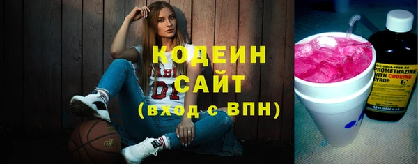 шишки Горно-Алтайск