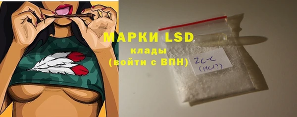 шишки Горно-Алтайск