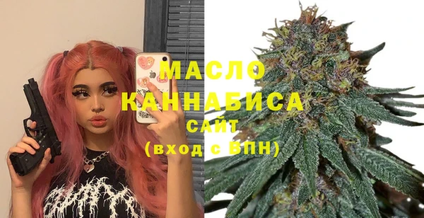 шишки Горно-Алтайск