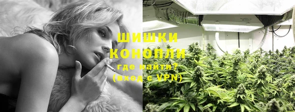шишки Горно-Алтайск