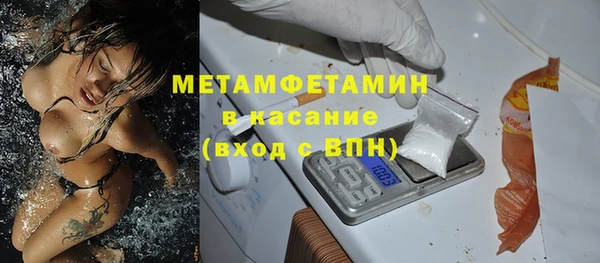 шишки Горно-Алтайск