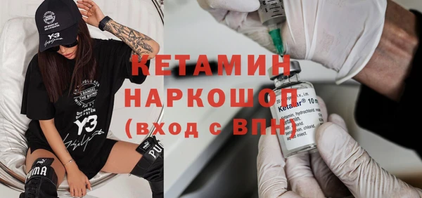 шишки Горно-Алтайск