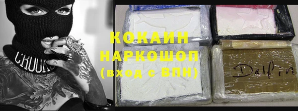 шишки Горно-Алтайск