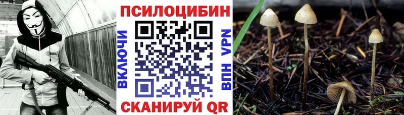 цена наркотик Дмитриев Галлюциногенные грибы Magic Shrooms